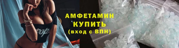 a pvp Аркадак
