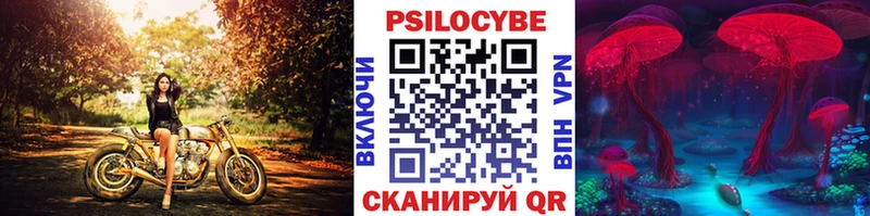 Галлюциногенные грибы GOLDEN TEACHER  гидра ONION  сайты даркнета клад  Северобайкальск 